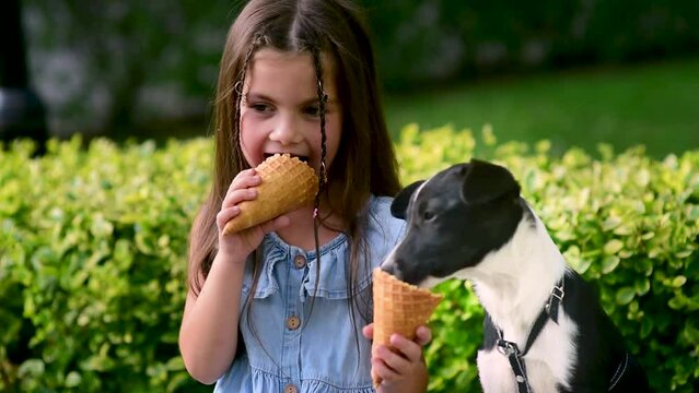 a cute, little European-looking girl eating ice cream with her puppy on a park bench. A happy childhood.