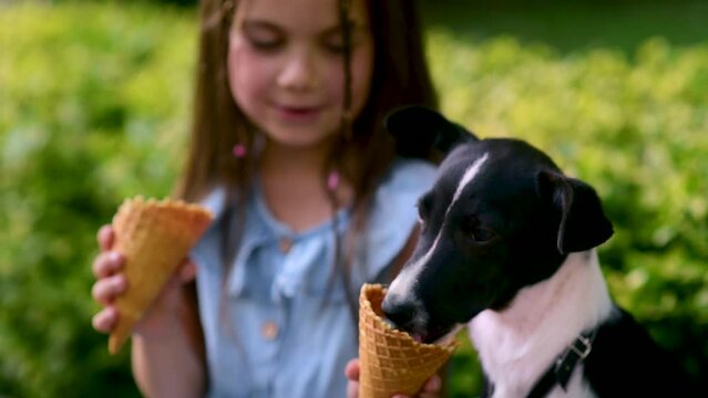 a cute, little European-looking girl eating ice cream with her puppy on a park bench. A happy childhood.