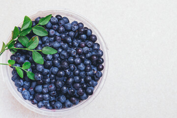 Fresh blueberries closeup in plastic white bucket with fresh branches with green leaves. Ripe blueberries. Top view.