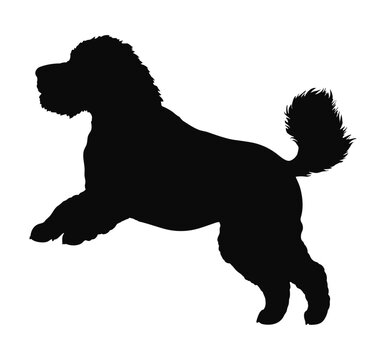 Silhouette of a jumping poodle vector illustration
