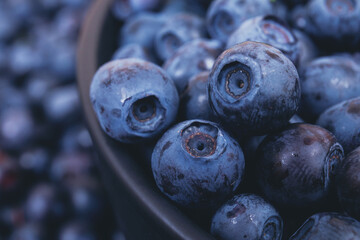 Fresh blueberries in black bowl. Bowl filled with ripe blueberries. Macro shot. Blueberry background.