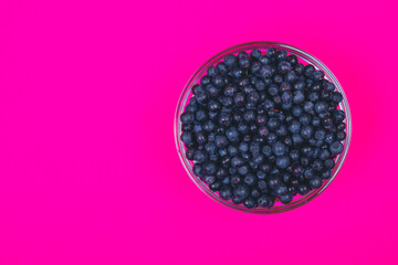 Glass bowl filled with ripe blueberries on a pink background. Top view