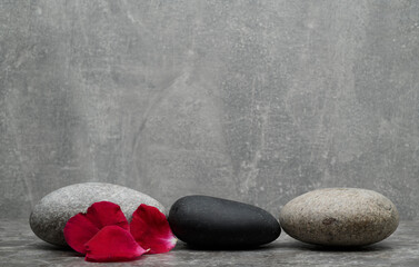 Fototapeta na wymiar stones and plants in the composition for the podium background of the product presentation.still life with zen stones and rose petals on a gray background.