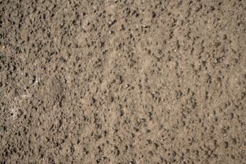 Close-up view of the black asphalt