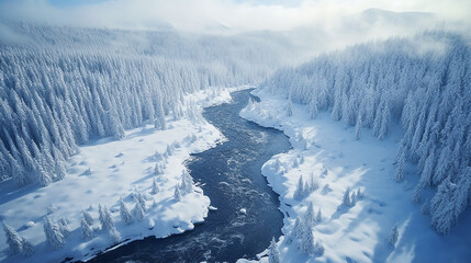 detailed view of a snowy landscape with river from above