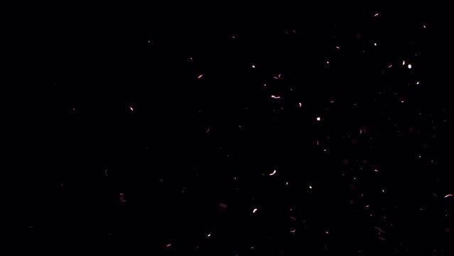 Loop flow up white dust particles sparks rising up on black abstract background for screen project overylay.4K 3D animation of  glowing flying dust particles ember burning ash particles.