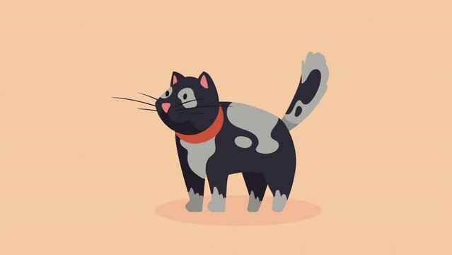 cute black cat mascot character animation