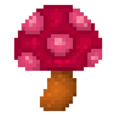 Obraz premium Colorful mushroom