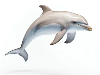 Rolgordijnen Dolphin is isolated on a white background, side view of the dolphin ached over © TheCoopers