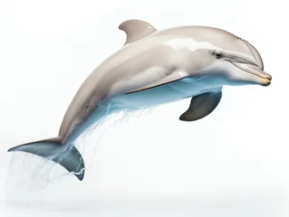 Foto op Aluminium Dolphin isolated on a white background, water coming from the dolphin  © TheCoopers