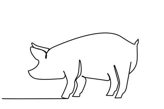 pig mammal full length body line art