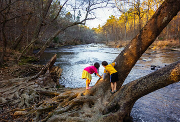 Two children play on an old tree trunk hanging out over the Eno River in Durham, North Carolina