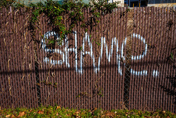Urban spray paint graffiti spelling out "Shame" on a brown fence