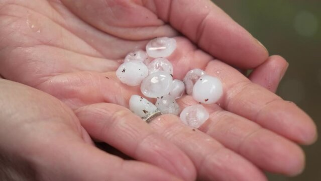 Woman hands holding white marble size hailstones after a hail storm, close up, slow motion 4K