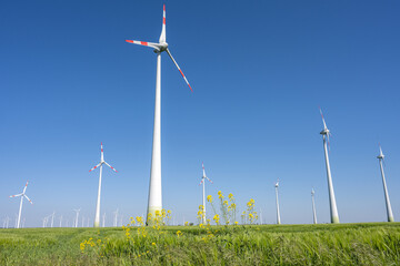 Wind farm in an agricultural area in Germany