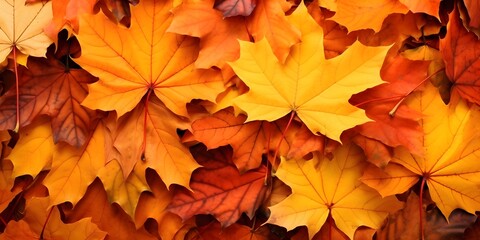 Naklejka na ściany i meble Background group autumn orange leaves, AI generative
