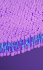 Fototapeta premium Cell membrane structure background, 3d rendering.