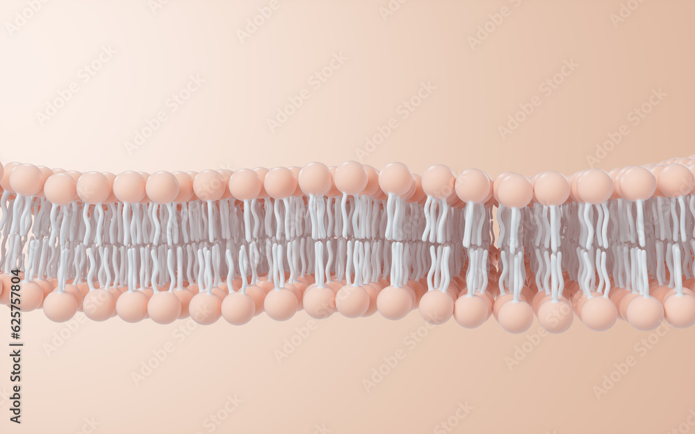 Sticker Cell membrane structure background, 3d rendering.