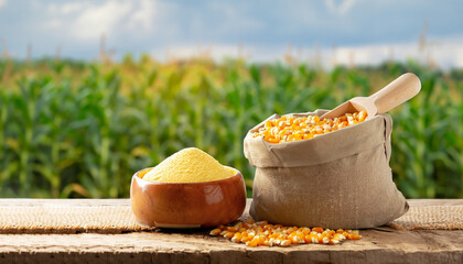 uncooked corn seeds in bag and cornmeal in bowl with scoop on wooden table with green field on the...