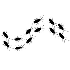 Group of cockroach silhouettes