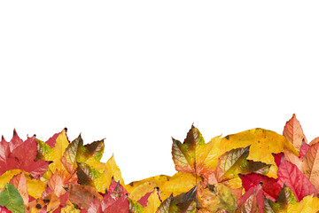 Digital png illustration of colourful autumn leaves on transparent background
