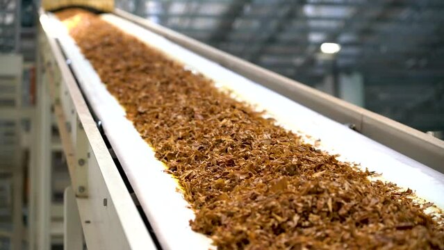 Conveyor belt for transporting tobacco nicotine Assembly line