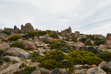 beautiful landscape vista of Mount Wellington tourist landmark in Hobart Tasmania in Australia, ...