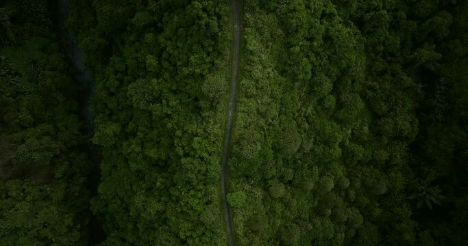Drone view of Bali. Aerial view of artist trail in Ubud, Bali. Campuhan Ridge Walk Ubud