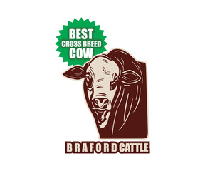 BRAFORD CROSS CATTLE HEAD LOGO, silhouette of big and strong bull. this image is perfect as your company brand. cattle breed farm company, braford ranch, poster, banner, shirts print, web wallpaper et