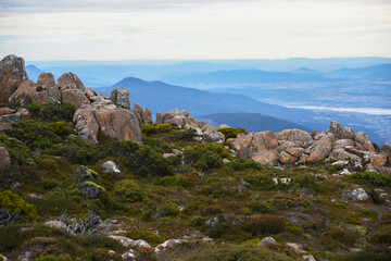 beautiful landscape vista of Mount Wellington tourist landmark in Hobart Tasmania in Australia,  with granite stones and scrubland nature