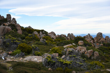 beautiful landscape vista of Mount Wellington tourist landmark in Hobart Tasmania in Australia,  with granite stones and scrubland nature