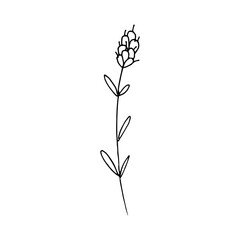 simple wild flower element