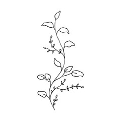wild floral hand drawn element