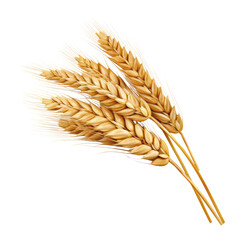 ears of wheat isolated on transparent background cutout - obrazy, fototapety, plakaty