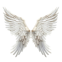 angel wings isolated on transparent background cutout