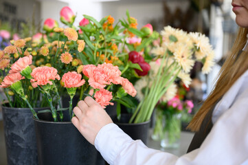 Crop woman arranging flowers in plastic vase