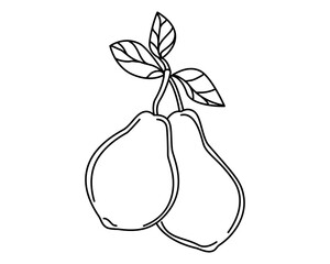Pear. Linear, contour drawing. Used for web design, collages, coloring books, magazines for children. Vector. Product icon