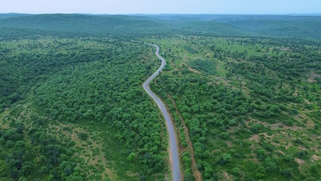 Aerial Drone view of a forest road through lush green Jungle with hilly backdrop in Gwalior Madhya Pradesh India