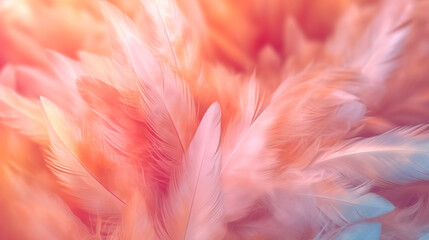 Blur bird chickens feather texture for background, fantasy, soft color of art design,