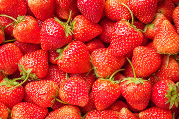 Fresh organic red strawberry fruit background