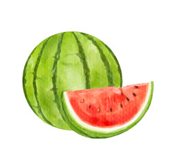 watermelon fruit watercolor