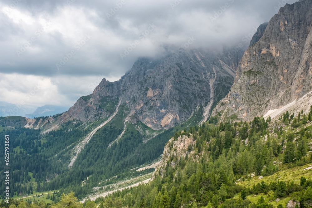 Poster Coniferous forests growing on mountain slopes in the Alps