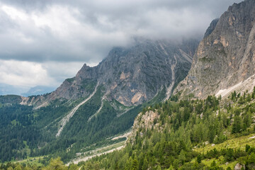 Fototapeta na wymiar Coniferous forests growing on mountain slopes in the Alps