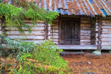 Fototapeta na wymiar Old log cabin in the woods