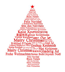 Obraz na płótnie Canvas Christmas tree shape wishes isolated on transparent, PNG . Greeting card text in many languages