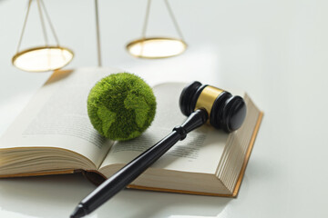 International Law and Environment Law.Green World and gavel on a book with scales of justice. law for global economic regulation aligned with the principles of sustainable environmental conservation. - obrazy, fototapety, plakaty