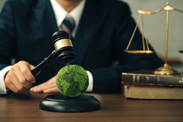 International Law and Environment Law. Honorable Judge striking Gavel on the green world. law for...