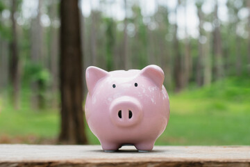natural piggy bank growth happiness