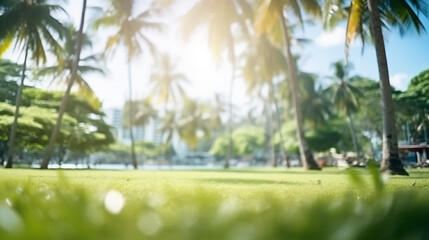 blur nature bokeh green park by beach and tropical coconut trees and sunlight
