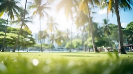 Foto op Plexiglas blur nature bokeh green park by beach and tropical coconut trees and sunlight © Aura